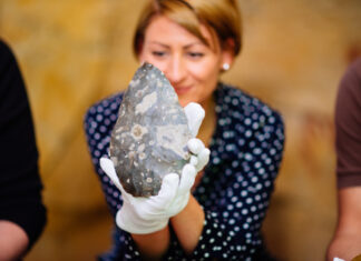 Am 15. März findet wieder der "Bestimmungstag" im Neanderthal-Museum statt. Foto: Neanderthal-Museum