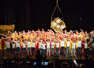Mehr als 100 Sängerinnen und Sänger treten in der HHG-Aula auf. Foto: privat