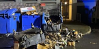 Die Container wurden durch das Feuer zerstört. Foto: Polizei