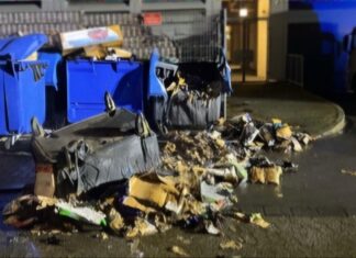 Die Container wurden durch das Feuer zerstört. Foto: Polizei