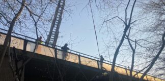 Die Feuerwehr im Rettungseinsatz. Foto: FW Mettmann