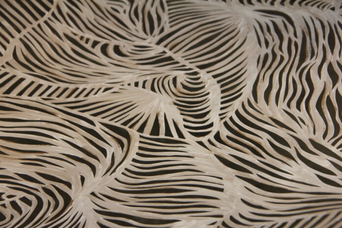 Papercut. Evanglia Bantiaka In dem Kurs „Paper Cuts“ werden besondere Papierschnitte mit dem Skalpell erstellt. Foto: Veranstalter