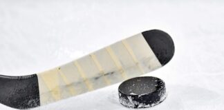 Ein Eishockeypuck ist zu sehen. Foto: pixabay