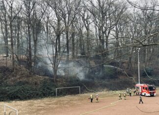 Der Blick auf den Wald. Foto: Feuerwehr Essen