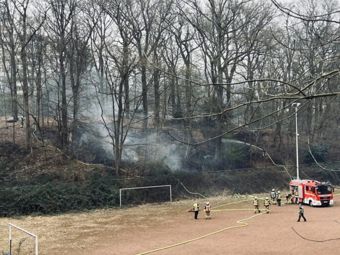 Der Blick auf den Wald. Foto: Feuerwehr Essen