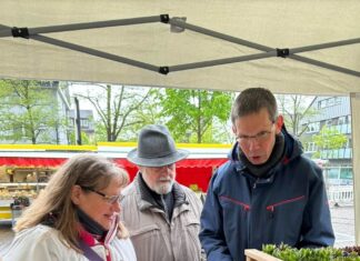 Es grünt in Lintorf - die Werbegemeinschaft kümmert sich unter anderem darum, dass der Stadtteil fit gemacht wird für den Frühling. Foto: privat