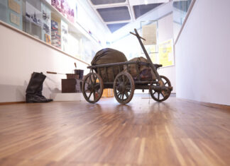 Ein buntes Programm gibt es im zweiten Quartal im Landesmuseum. Foto: SHOS/OSLM/Nonnenmacher