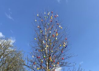 Bunte Eier hängen an dem Baum. Foto: Grenzstein