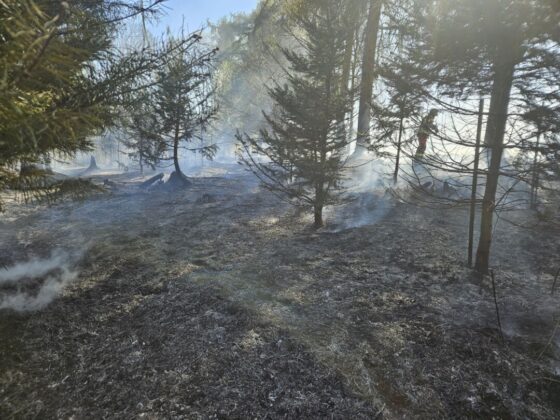 Waldbrand Neviges April 2025