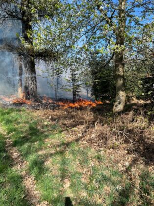 Waldbrand Neviges April 2025