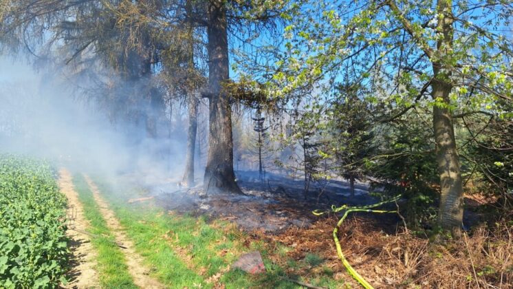 Waldbrand Neviges April 2025