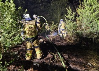 Essener Feuerwehrleute im Einsatz in Heisingen. Foto: FW Essen