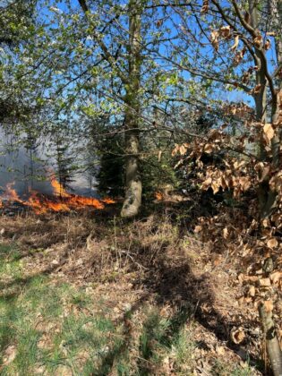 Waldbrand Neviges April 2025