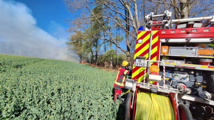 Waldbrand Neviges April 2025