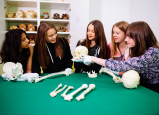 Wissen zur Humanevolution vermitteln Experten in dem Kurs. Foto: Neanderthal-Museum