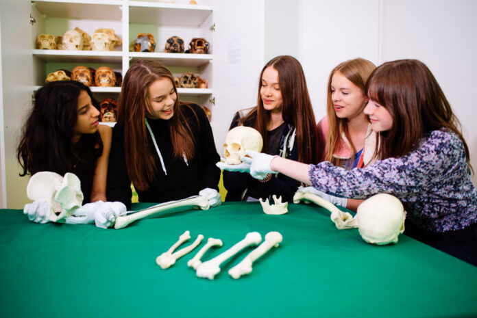 Wissen zur Humanevolution vermitteln Experten in dem Kurs. Foto: Neanderthal-Museum