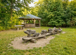 Die Rabenwiese im Heissiwald. Foto: Förderverein Wildgatter – Essen Heissiwald e. V. / Brandt