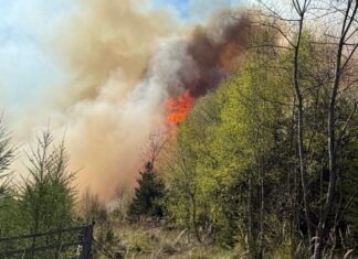 Hunderte Einsatzkräfte waren bei Waldbränden in Nordrhein-Westfalen im Einsatz, zum Beispiel bei diesem Brand in Sundern im Sauerland. (Foto: Feuerwehr Sundern)
