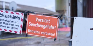 Solche Bilder will niemand in Nordrhein-Westfalen sehen. Deshalb appelliert das Land an Reisende und Touristen, vorsichtig zu sein bei Gebieten mit der Maul- und Klauenseuche. (Archivbild)