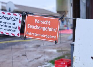 Solche Bilder will niemand in Nordrhein-Westfalen sehen. Deshalb appelliert das Land an Reisende und Touristen, vorsichtig zu sein bei Gebieten mit der Maul- und Klauenseuche. (Archivbild)