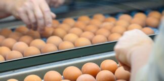 Eier und Schokoladen waren im März teurer als im Vorjahresmonat.
