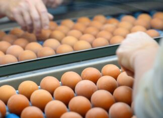 Eier und Schokoladen waren im März teurer als im Vorjahresmonat.