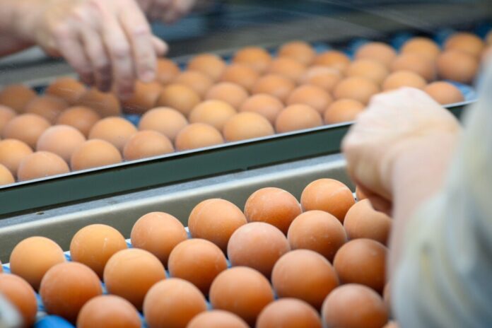 Eier und Schokoladen waren im März teurer als im Vorjahresmonat.