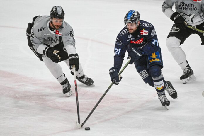 Die Kölner Haie mit Alexandre Grenier (l) verpassten gegen den ERC Ingolstadt um Wayne Simpson (r) den Einzug ins Finale nach Spiel fünf.