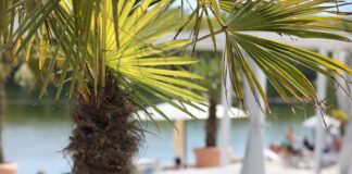 Bei dem warmen Wetter locken Seen. (Archivbild)