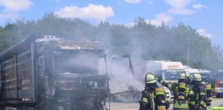 Ein Übergreifen der Flammen auf die Holzladung konnten die Einsatzkräfte verhindern.