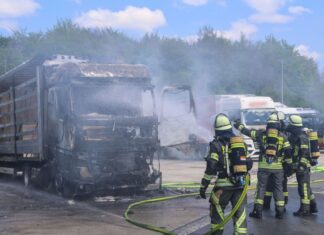 Ein Übergreifen der Flammen auf die Holzladung konnten die Einsatzkräfte verhindern.