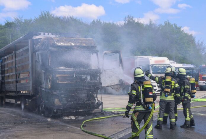 Ein Übergreifen der Flammen auf die Holzladung konnten die Einsatzkräfte verhindern.