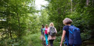 Durch die Natur im Bergischen geht es bei den Touren. Foto: Fabian Heinz