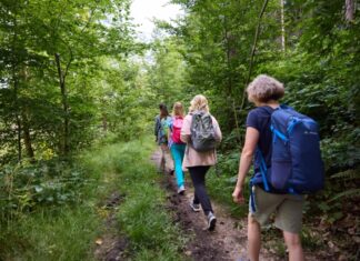 Durch die Natur im Bergischen geht es bei den Touren. Foto: Fabian Heinz