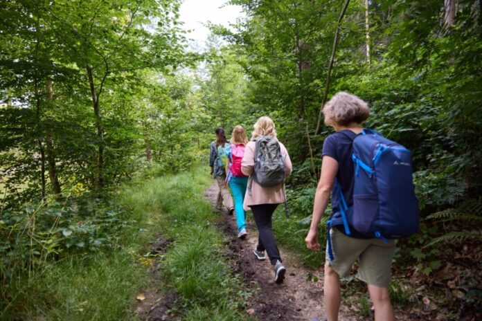 Durch die Natur im Bergischen geht es bei den Touren. Foto: Fabian Heinz