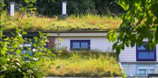 Verbraucherzentrale NRW zeigt die vielfältigen Vorteile von Dachbegrünungen im städtischen Raum. Foto: VZ NRW/Mackenbroc