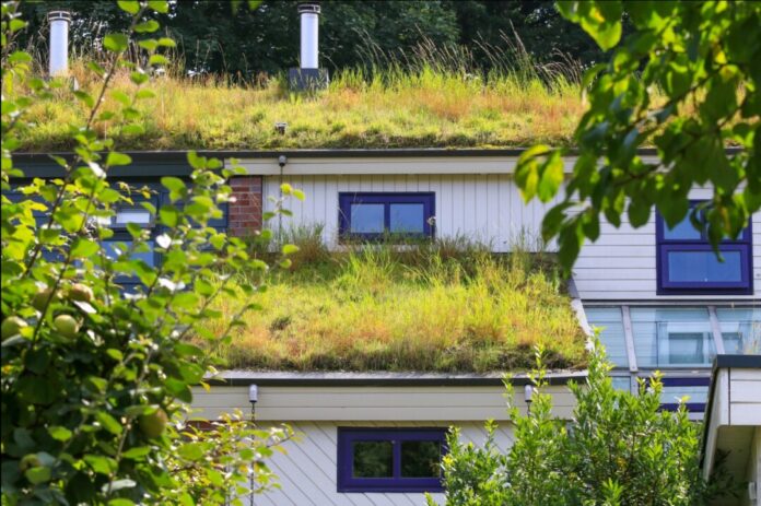 Verbraucherzentrale NRW zeigt die vielfältigen Vorteile von Dachbegrünungen im städtischen Raum. Foto: VZ NRW/Mackenbroc