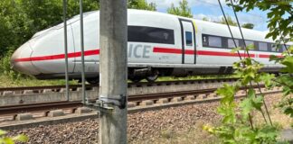 Ein ICE passiert einen Mast, an dem ein Wildwarner angebracht ist. 