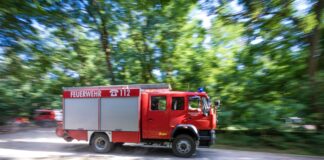 Nach einer Serie von Waldbränden sind vier Verdächtige festgenommen worden - darunter zwei Feuerwehrleute. (Symbolbild)