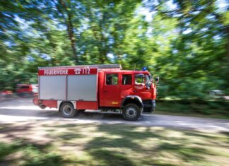 Nach einer Serie von Waldbränden sind vier Verdächtige festgenommen worden - darunter zwei Feuerwehrleute. (Symbolbild)