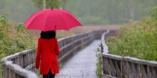 Der Regenschirm wird in den nächsten Tagen zum treuen Begleiter. (Symbolbild)