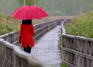 Der Regenschirm wird in den nächsten Tagen zum treuen Begleiter. (Symbolbild)
