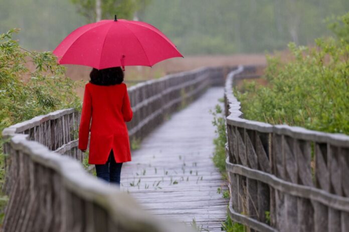 Wetter Der Regenschirm wird in den nächsten Tagen zum treuen Begleiter. (Symbolbild)