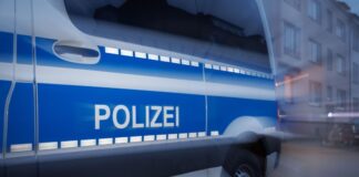 Ein Fahrer ist vor einer Kontrolle geflohen - mit größeren Folgen (Symbolbild) 