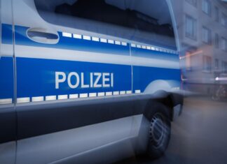 Ein Fahrer ist vor einer Kontrolle geflohen - mit größeren Folgen (Symbolbild) 