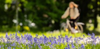 Das sommerliche Wetter vom Wochenende bleibt den Menschen in NRW erhalten. Die Temperaturen bleiben dem DWD zufolge konstant. (Archivbild)