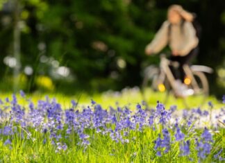Das sommerliche Wetter vom Wochenende bleibt den Menschen in NRW erhalten. Die Temperaturen bleiben dem DWD zufolge konstant. (Archivbild)