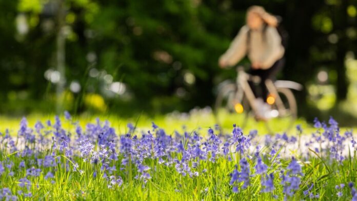 Sonne in Köln Das sommerliche Wetter vom Wochenende bleibt den Menschen in NRW erhalten. Die Temperaturen bleiben dem DWD zufolge konstant. (Archivbild)