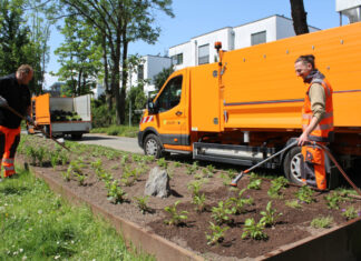 Die Stadtgärtner machen das Beet fit für die Schönwettersaison. Foto: Stadt Erkrath