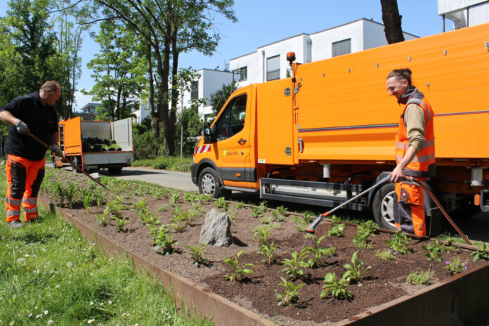 Die Stadtgärtner machen das Beet fit für die Schönwettersaison. Foto: Stadt Erkrath